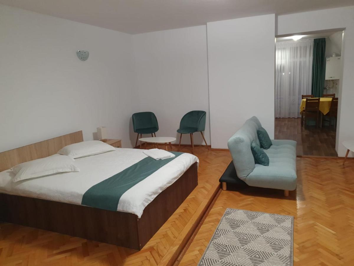Studio Apartments 阿尔巴·尤利亚· 外观 照片