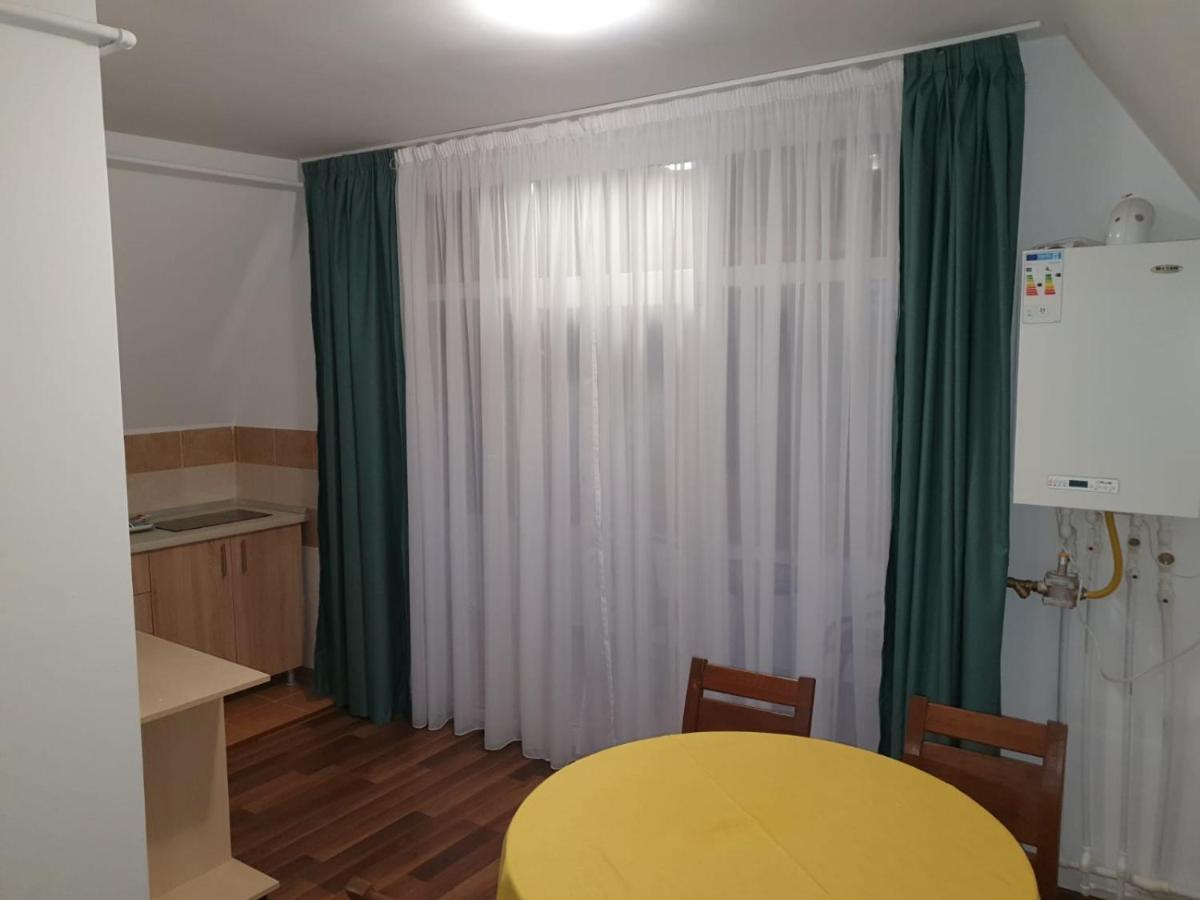 Studio Apartments 阿尔巴·尤利亚· 外观 照片