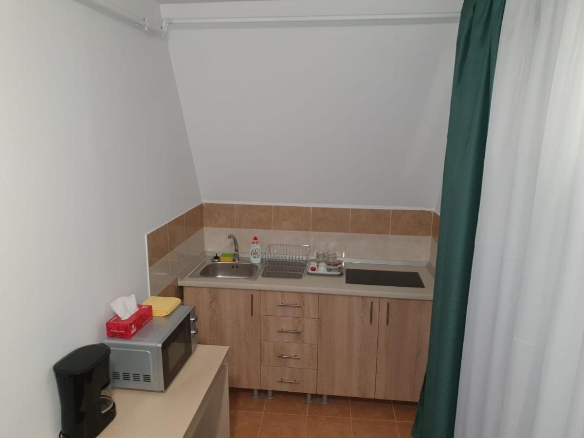 Studio Apartments 阿尔巴·尤利亚· 外观 照片