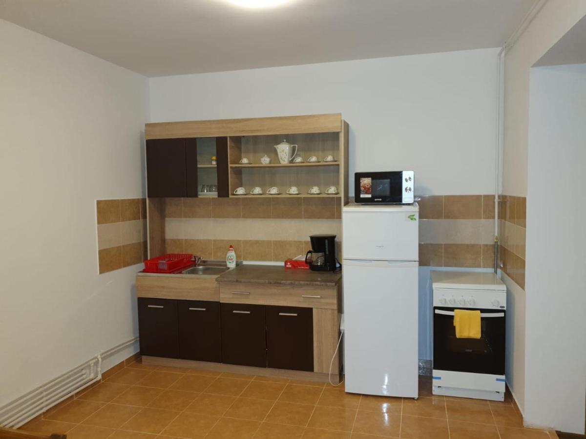 Studio Apartments 阿尔巴·尤利亚· 外观 照片